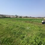 WhatsApp Image 2024-07-10 at 3.47.24 PM (1)