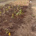 WhatsApp Image 2024-10-08 at 6.58.16 PM (2) - Copy