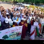 wmremove-transformed (1)