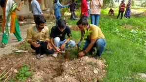 tree-plantation-mMbRySX3Xp